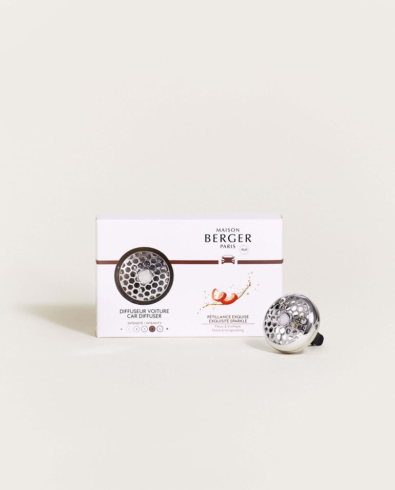 Exquisite Sparkle Car Diffuser Kit