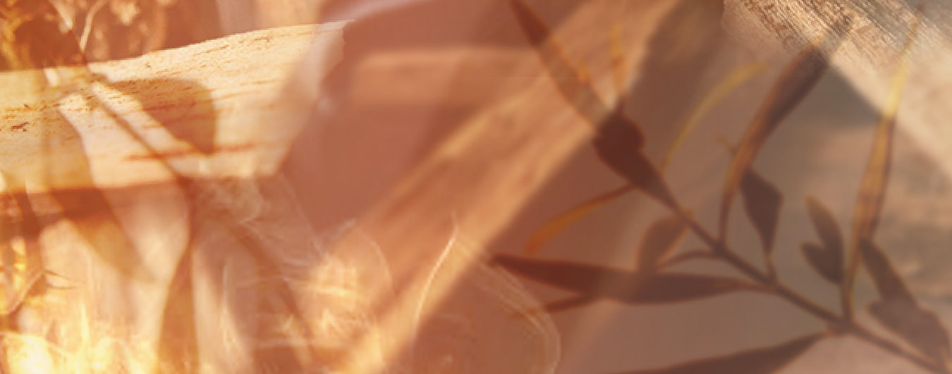 Woody & Herbal Fragrances